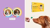 Embark dog DNA test: Save up to $140 on Reviewed-approved pet products