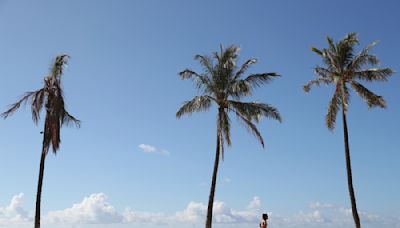 Hawaii settles lawsuit from youths over climate change. Here's what to know about the historic deal