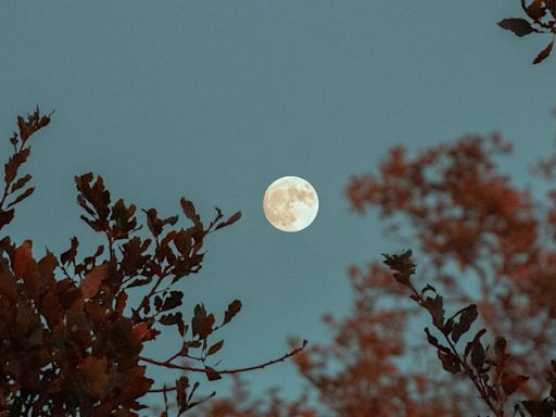 Luna llena de las flores, ¿por qué se llama así y cuándo podremos verla?