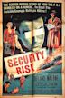 Security Risk (film)