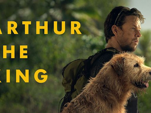 'Arthur The King' movie review: Mark Wahlberg's new offering is stylish, slick, and sentimental