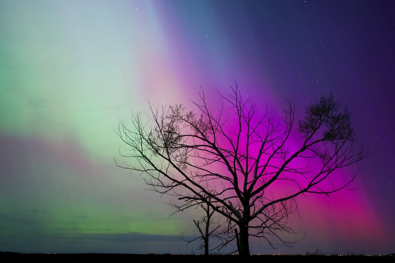 After solar storms lit up Sask. skies with northern lights Friday, they could dazzle again Saturday