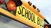 Hopewell school bus driver suspended after allegedly having gun on school bus