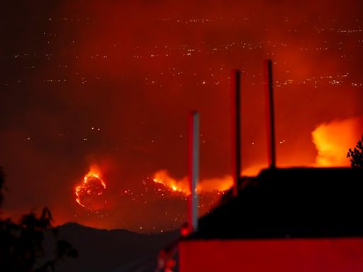 ‘The forest was not always this dry’: Inside India’s forest fires crisis