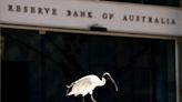 RBA keeps rates steady, stops short of mentioning rate hikes