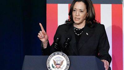 Kamala Harris, endorsed by Biden, could become first woman to be president - National | Globalnews.ca