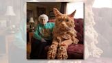 Fact Check: Are These Real Pics of Elderly Women With Giant, Crocheted Cats?