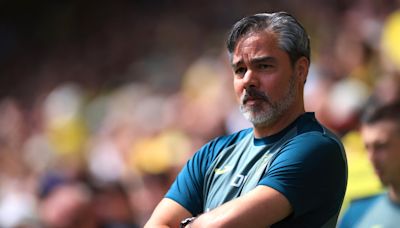 Norwich sack David Wagner hours after play-off defeat