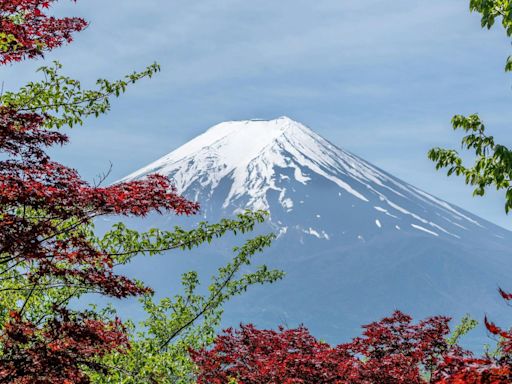 日本官方架黑布幕禁拍富士山 陸客不擇手段直接挖洞硬要拍