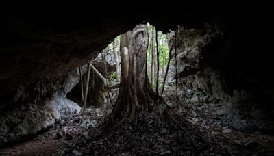 In Mexico’s Yucatan Peninsula, a hidden underground world is under threat by the Maya Train