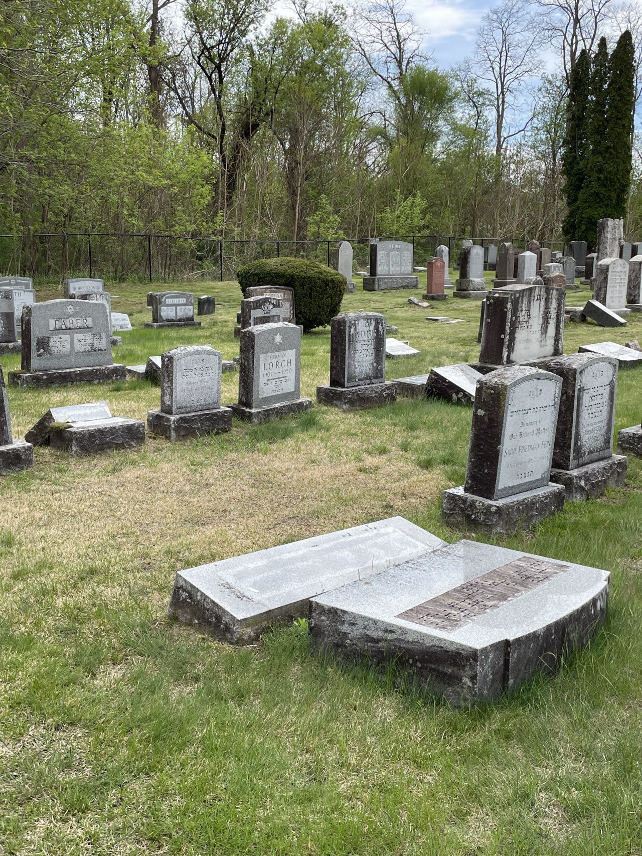 Headstones damaged at local Jewish cemetery