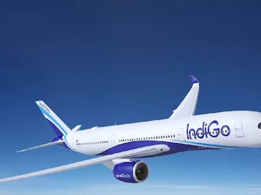 IndiGo Flyers Can Now Book Tickets on WhatsApp! Here's How to Use it - News18