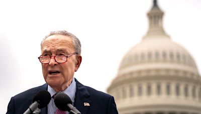 Schumer's 2024 "show vote" strategy targets GOP