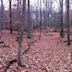 Pohick Bay Regional Park