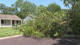 Storm debris drop-off, pick-up spots in Kansas City