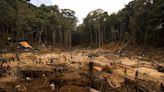 Equilibrium/Sustainability — Fighting illegal gold mining in the Amazon