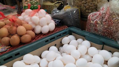 氣溫飆高產蛋率下降 雞蛋價格止跌看漲