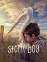 Storm Boy - Il ragazzo che sapeva volare