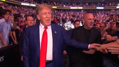 Donald Trump Gets Massive Ovation At UFC Fights Just Days After Conviction