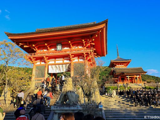 京都最新觀光特急巴士上路！直達清水寺、祇園 免和當地人擠公車