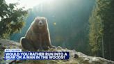 Bear vs man debate: Women respond after being asked which they would rather run into in the woods