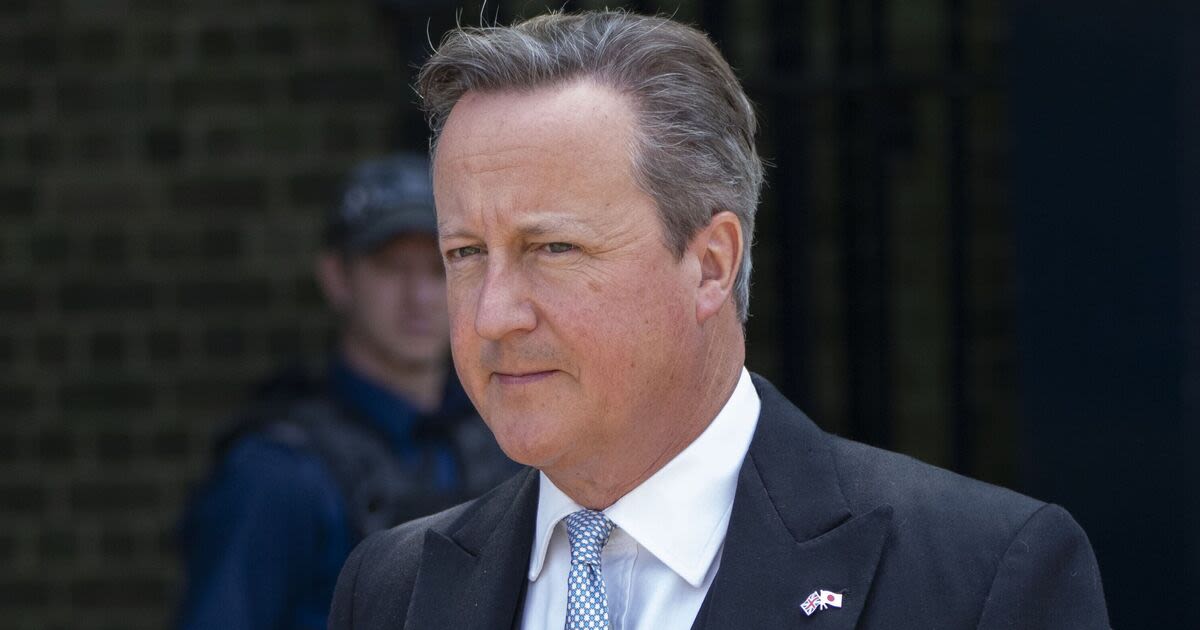 David Cameron calls Keir Starmer 'hopelessly naïve' in pre-election outburst