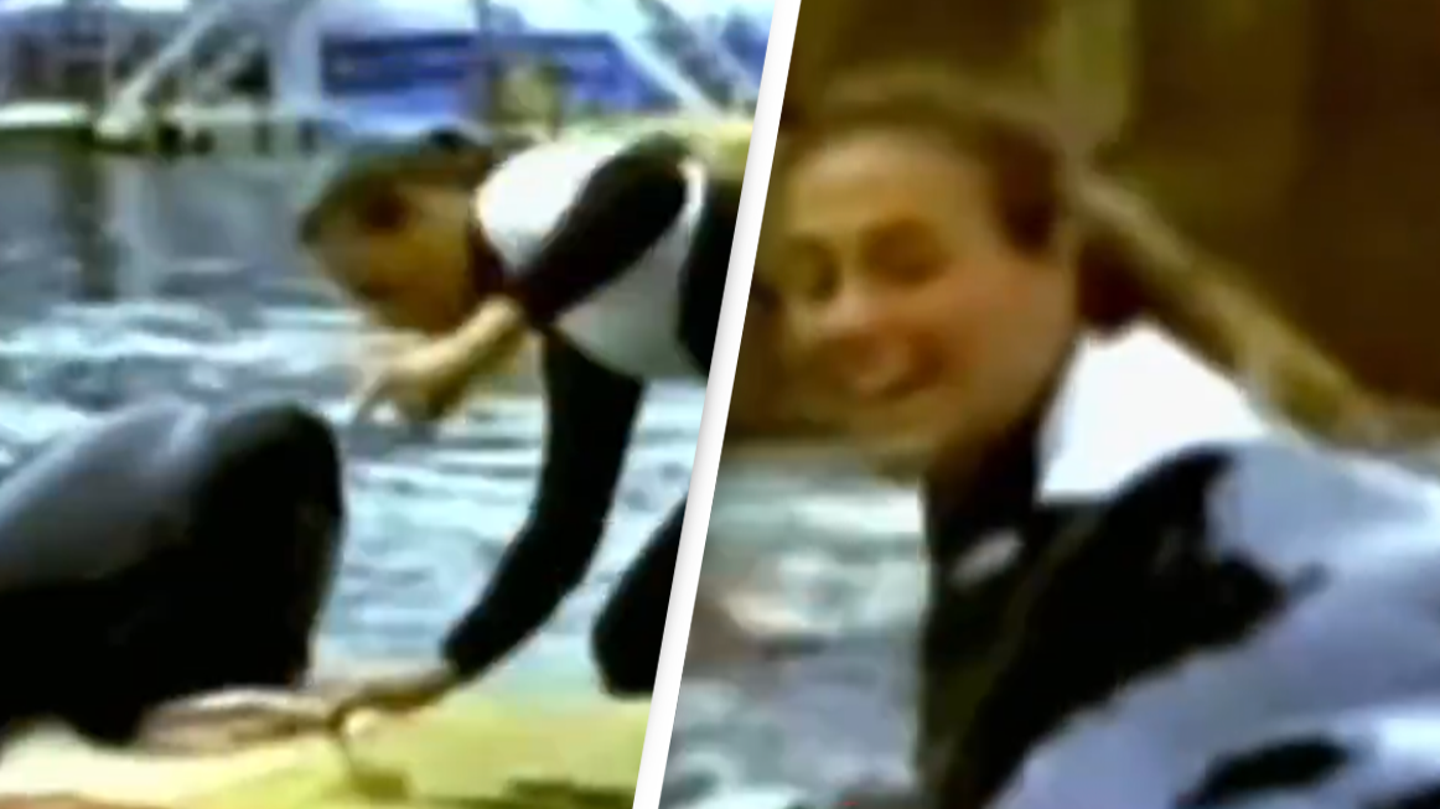 Shocking footage shows SeaWorld trainer's final moments before orca pulled her into its jaws and killed her