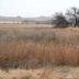 Washita Battlefield National Historic Site