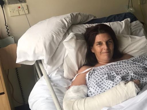 'I was attacked by a herd of cows. I really thought I was going to die'