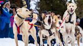 3 Utah mushers to compete in sled dog race despite winter weather challenges