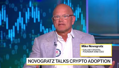 Bitcoin Could End Year at $100,000, Novogratz Says