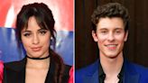 Camila Cabello Seemingly References Her Coachella Reunion with Shawn Mendes in New Song Snippet