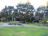 Sydney Walton Square