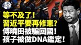 習近平要再修憲？傅曉田兒子被做DNA鑑定(視頻) - 動向 -