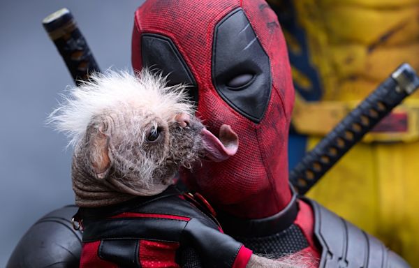 Deadpool & Wolverine's New Trailer Has Fans Saying One Thing About Lady Deadpool - Looper