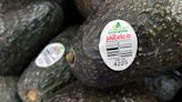 Assault on US avocado inspectors in Mexican state led to suspension of inspections