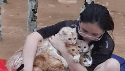 No meow left behind: Photo of woman saving cats from Penampang floods touches Sabahan hearts (VIDEO)