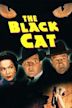 The Black Cat (1941 film)