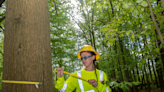 Conservation pays: How a local company is turning Portage County trees into carbon credits