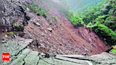 Rain batters Uttarakhand: 16 dead; Kedarnath shrine cut off | Dehradun News - Times of India