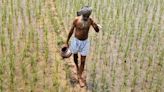 Neglect of agriculture R&D in budget risks India’s food security and growth