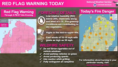 Red flag fire warning in effect for parts of Michigan