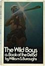 The Wild Boys (novel)