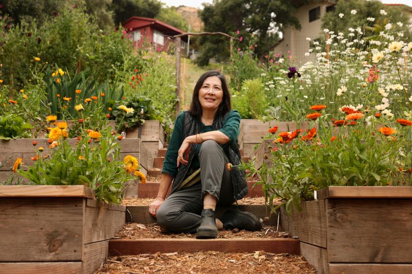 She turned an empty L.A. lot into a gorgeous mini flower farm as a 'win-win'