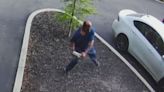 Brazen burglar caught on video hurling rock through car window