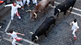 Estas son todas las ganaderías de San Fermín 2024