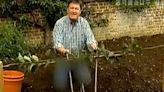 North Korea censors Alan Titchmarsh's trousers on BBC gardening show