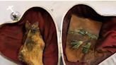 The 19th-century 'miracle' heart relic of holy French woman and no trace of disease, scientists say