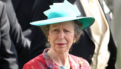 Princess Anne's Memory Loss Does Not Seem to Be Long-Term Following Concussion: Royal Expert