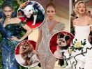 Haute dog couture: Pet Gala channels Zendaya, Gigi Hadid and more with Met gown re-creations